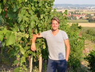 Matthias Schuh im Weinberg