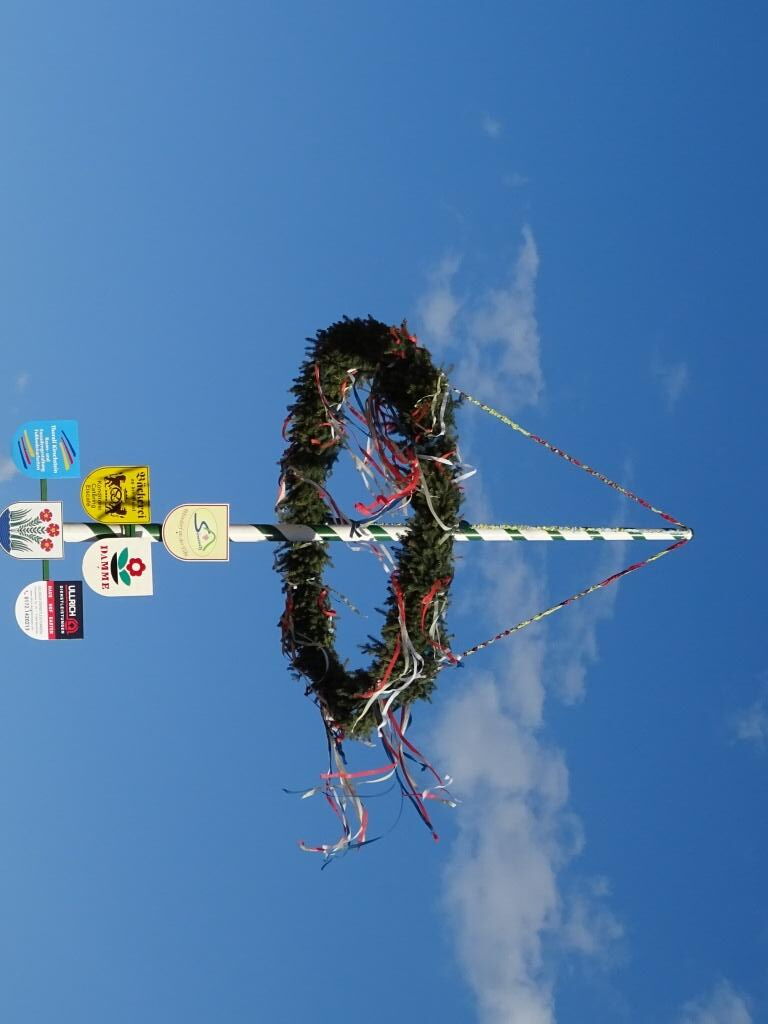 Maibaum in Sörnewitz