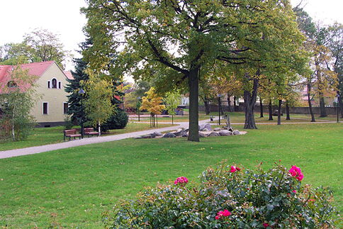 Weg mit Bänken im Bürgerpark