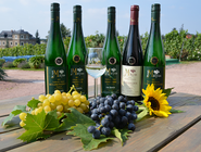 Weinflaschen aus dem Weingut Matyas stehen auf mit Weintrauben und Sonnenblume dekoriertem Tisch
