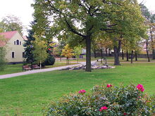 Weg mit Bänken im Bürgerpark
