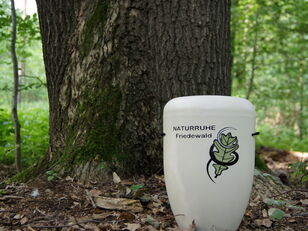 Urne für die Naturbestattung (NATURRUHE Friedewald GmbH) vor einem Baum