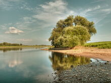 Symbolfoto Freizeit - Gewässerufer  mit Sand, Kies und Bäumen