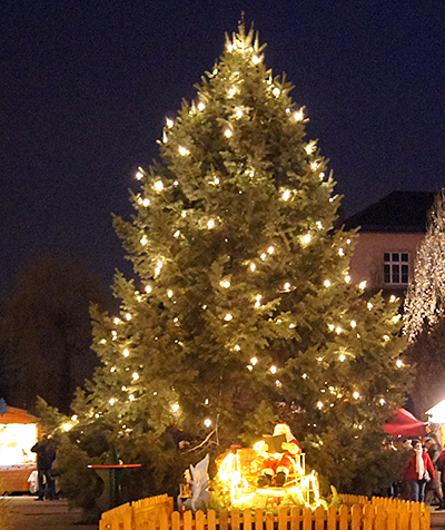 Weihnachtsbaum