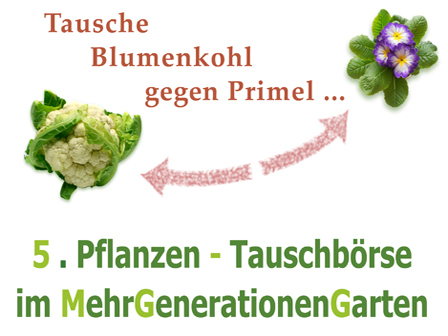 Pflanzentauschbörse