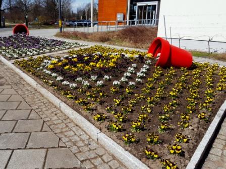 Frühling am Rathaus