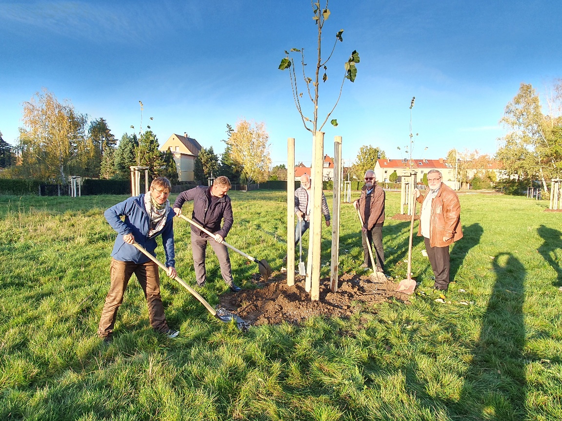 OB und Stadträte pflanzen Bäume