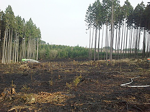 Verbrannter Waldboden mit Nadelbäumen im Hintergrund und Feuerwehrschlach