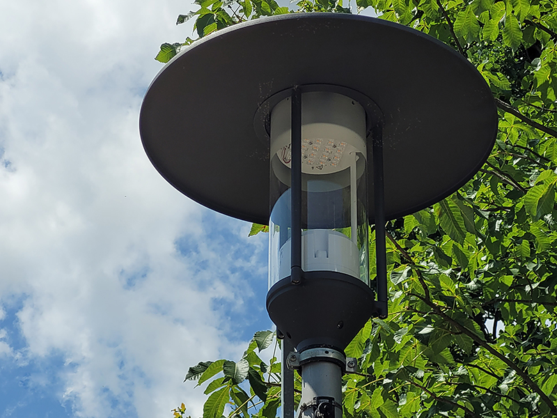 LED-Leuchte auf der Karrasstraße. Hintergrund Baumkrone und Himmel.