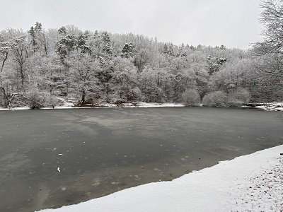 Spitzgrundteich im Winter